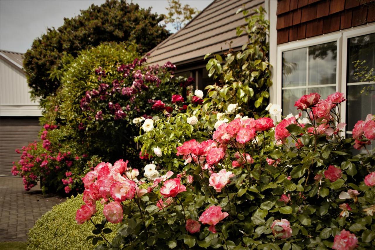 The Loft Bed And Breakfast Tauposee Exterior foto